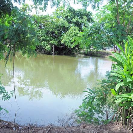 Album : Telaga